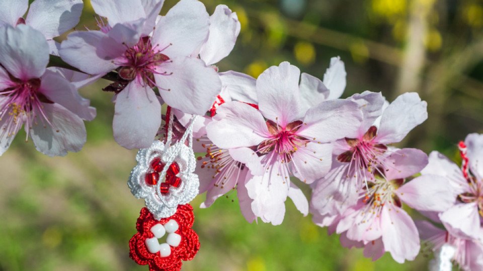 dzrvoto na promqnata ani pondeva