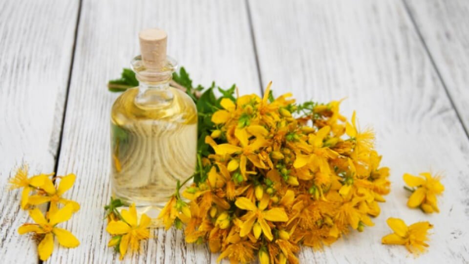 jultiat kantarion bezcenen lek za dushata i tjaloto ani pondeva